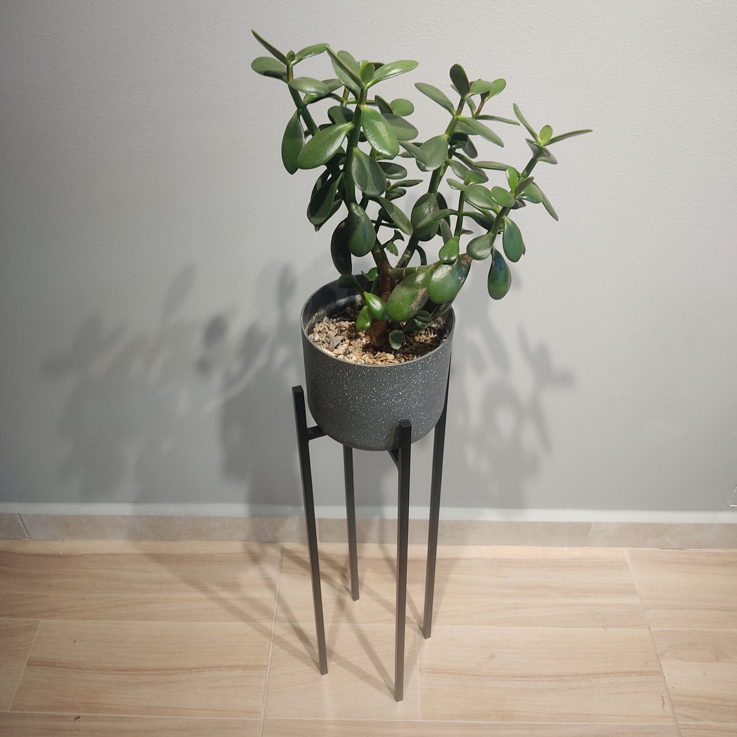 Soporte En Metal Para Plantas