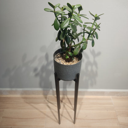 Soporte En Metal Para Plantas