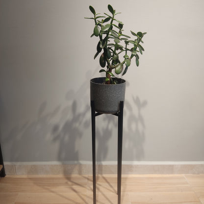 Soporte En Metal Para Plantas